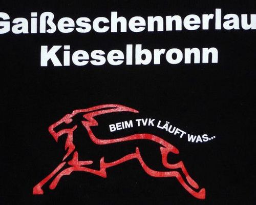Gaißeschennerlauf in Kieselbronn als Vorbereitungslauf zum SWP-CityLauf Pforzheim